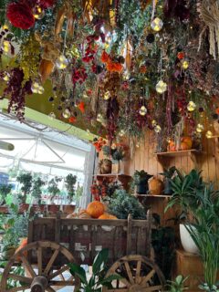 A little corner of autumn magic 🪄🍂