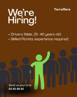 We’re growing 🌿
TerraFlora is expanding its team and looking for passionate talents to join us.
If you’re ready to grow with a brand built on love and detail, send your CV to 03 83 88 65.

تيرافلورا تكبّر فريقها 🌿
إذا كنت شغوف(ة) وجاهز(ة) تكبر معنا، أرسل/ي سيرتك الذاتية