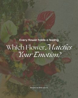 Some emotions don’t need words.
They just need the right flower. 🌸
Which one feels like you today?