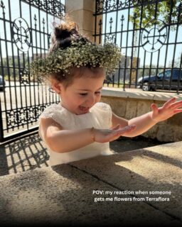 The kind of pictures Lebanese moms frame forever 🤍

The season of beautiful occasions officially began!
From baptisms and First Communions to birthdays, proms, engagements, and weddings… our days are filling with flowers, laughter, elegant setups, and moments families will remember forever.

Being part of these memories truly means everything to us 🤍
Can’t wait to create more beautiful moments with you this season 🌿