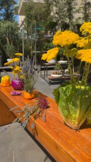 Not your usual table setup.
Flowers mixed with vegetables for a fresh Lebanese summer touch. 🌿
At TerraFlora, we love creating table themes that feel different, seasonal, and full of life.
Available for restaurants, outdoor lunches, and special gatherings.
DM us to create your next table theme.