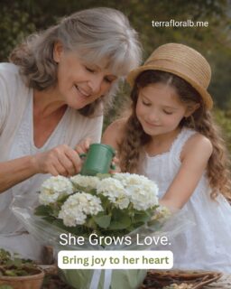 Even when the world around feels unsettled,
she grows love and creates peace.
She is my safe place.

No matter the distance, let your love reach her.
Pre-order her Mother’s Day flowers at terrafloralb.me 🌸