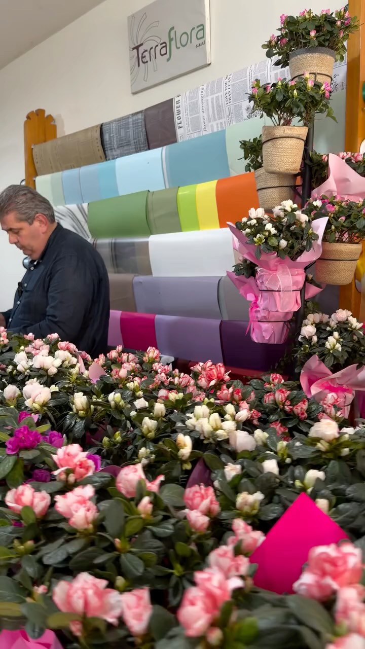 Wait till the end… this week’s offer is worth it 👀🌸
3 spring azalea plants 🌿
because one is never enough 😌
Reserve yours now