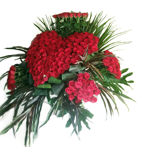 Heart Fire - Image 2