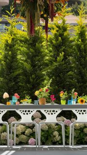 Your summer event deserves this magic!
Book today