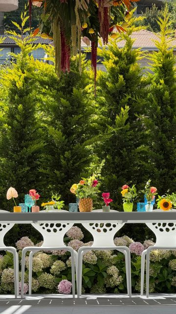 Your summer event deserves this magic!
Book today