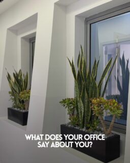 A well-designed workspace brings calm, clarity, and better energy into the day. 🌿

Today, more businesses are investing in office landscaping, indoor plants, and workspace design to support employees’ mental well-being, improve productivity, and create a more positive environment.

These spaces also shape how clients feel, building comfort, trust, and a strong first impression.

At TerraFlora, we provide corporate plant solutions in Lebanon, including:
• Consultation
• Office landscaping
• Indoor plant installation
• Ongoing plant maintenance

We transform offices, clinics, and commercial spaces into environments that feel balanced, professional, and aligned with your brand identity.

📞 Book your consultation on 70 50 15 50