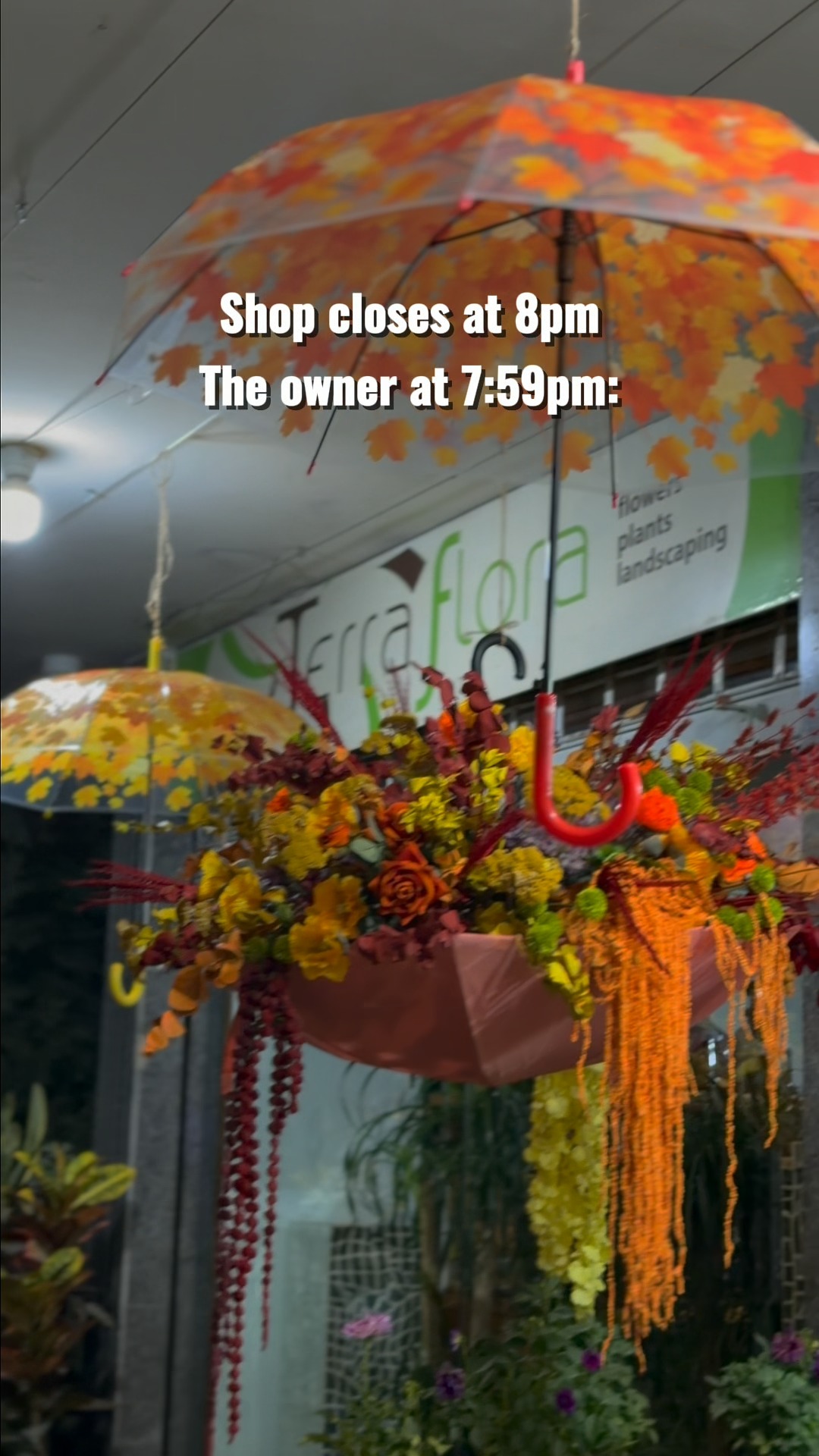 We close at 8 PM. The owner at 7:59 PM: “It’ll only take 5 minutes before you go.”
Well… at least our fall display is officially ready. 🍂
Want your storefront dressed for the season too? We’d be happy to decorate your display window. 
DM us to customize yours.