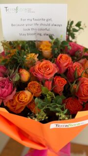 Not everyone understands English roses… and that’s okay 🌸
but here’s what makes them special
LIMITED TIME Offer
Which one would you choose? 🤍👇