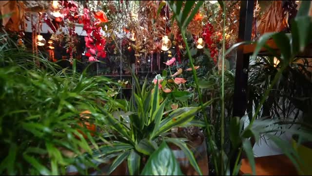 An overhead garden of fire tones + a cart full of pumpkins?
Yes, fall lives here 🍂