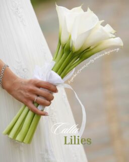 Love never left…
it just waited for the right moment 🤍

Wedding season 2026 is around the corner.
Book your consultation.