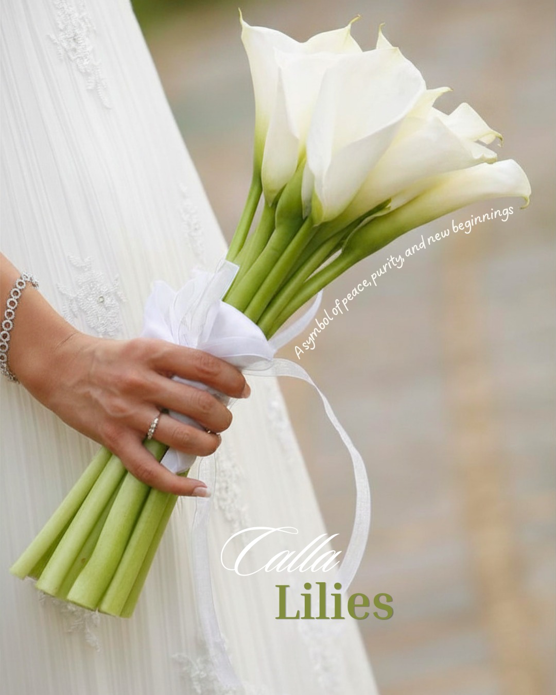 Love never left…
it just waited for the right moment 🤍

Wedding season 2026 is around the corner.
Book your consultation.