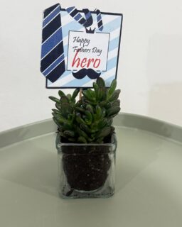 Father’s Day corporate packages are now available. 🌵 
Our Father’s Day corporate cactus gifts are now available for companies, teams, and client gifting. Reserve yours before quantities run out.