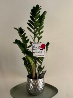 This Father’s Day, gift him something that grows with love. 🌿

Mix and match your favorite plant with the message that says it best.
Father’s Day gifts are now available at TerraFlora.

Order yours now 
📞+ 961 70 50 15 50
💻 terrafloralb.me