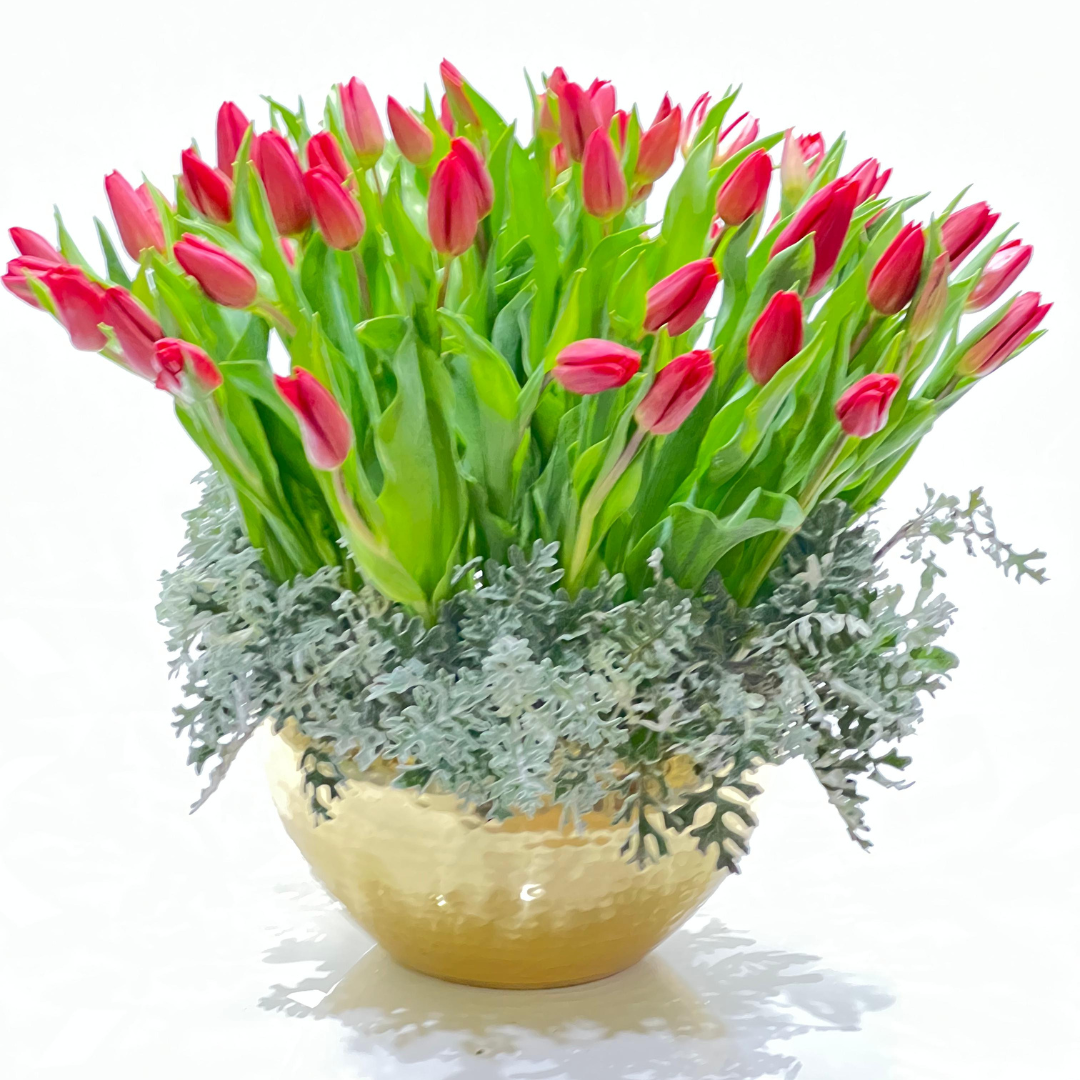 the aurora bloom 150$