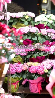 Because Mother’s Day never feels complete without flowers,
we’ve prepared thoughtful, budget-friendly blooms just for you.
Place your Mother’s Day order now.
🌐 terrafloralb.me
📲+961 70 50 15 50