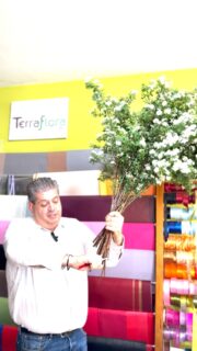 That one simple touch that makes the whole house feel alive 🌿
A huge bouquet for $15, straight from our land

Order yours before it’s gone 👀