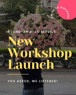 A new service… 😌🌿
(or so we thought…)

Tag someone who needs this 😂